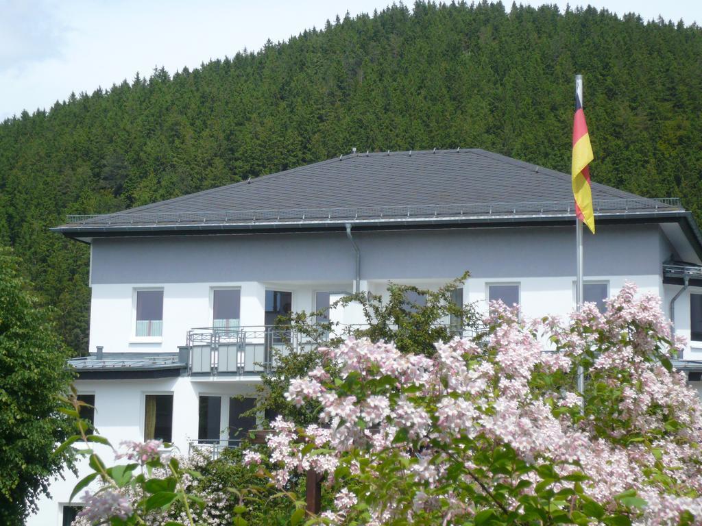 Fewo Penthaus-Blick Willingen  Eksteriør bilde
