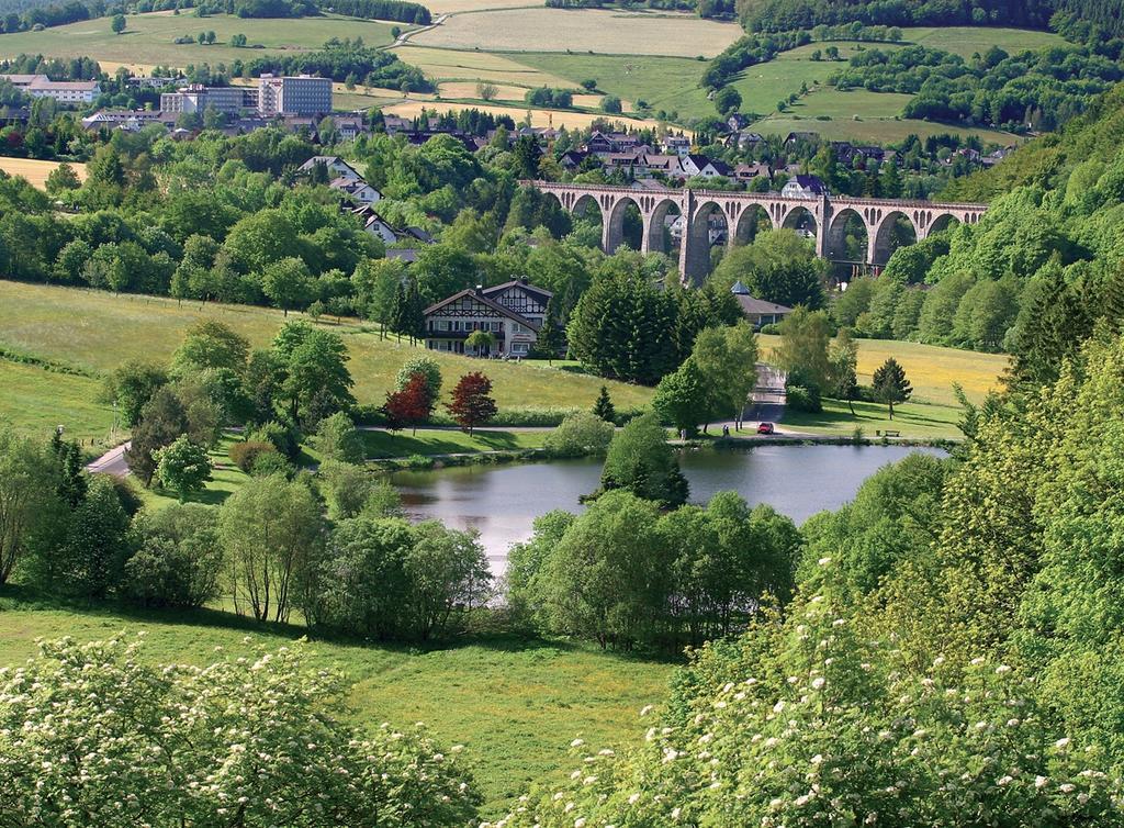 Fewo Penthaus-Blick Willingen  Eksteriør bilde
